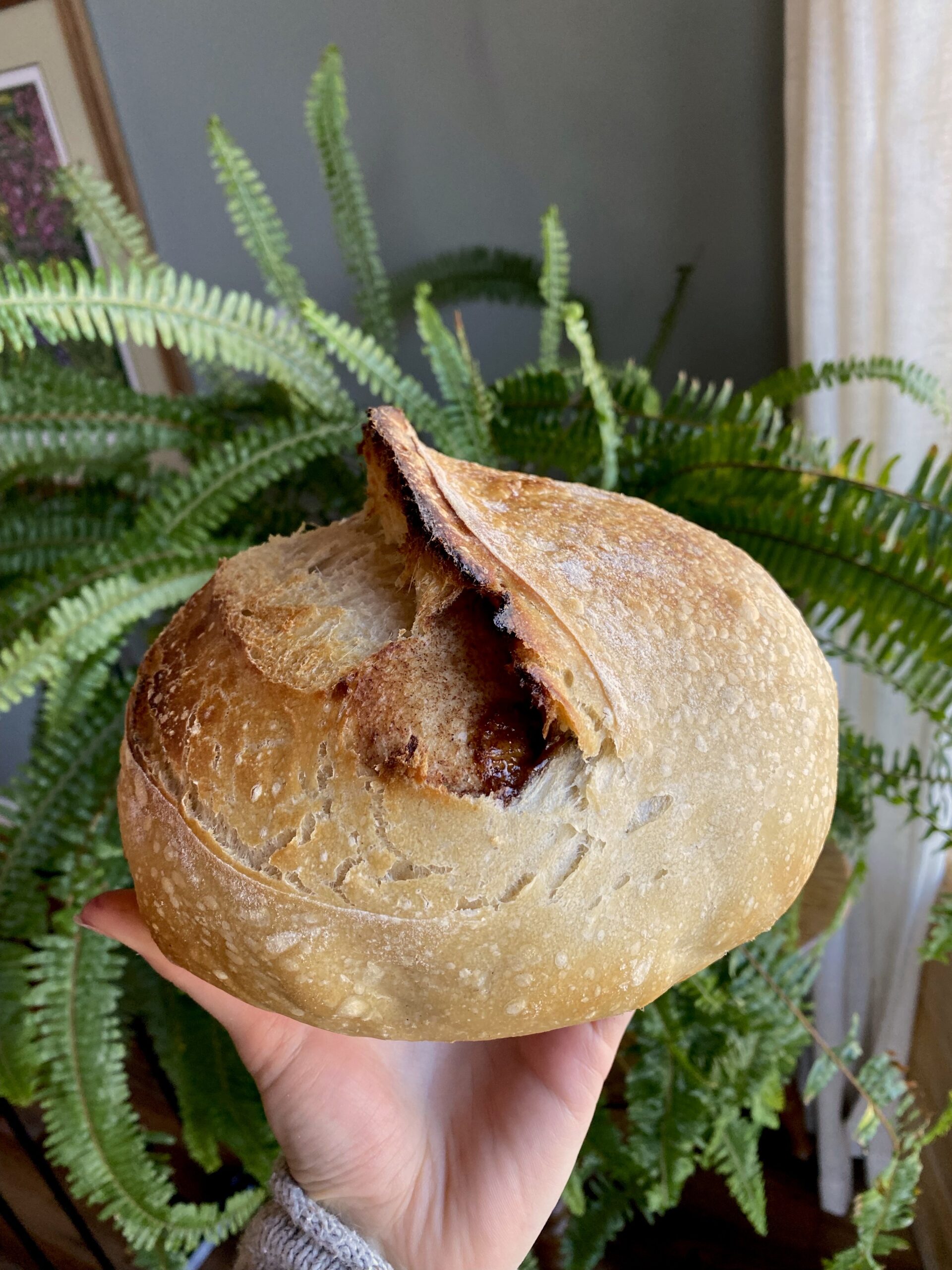 Textbook artisan loaf. This one happened to be a sugar + spice loaf!