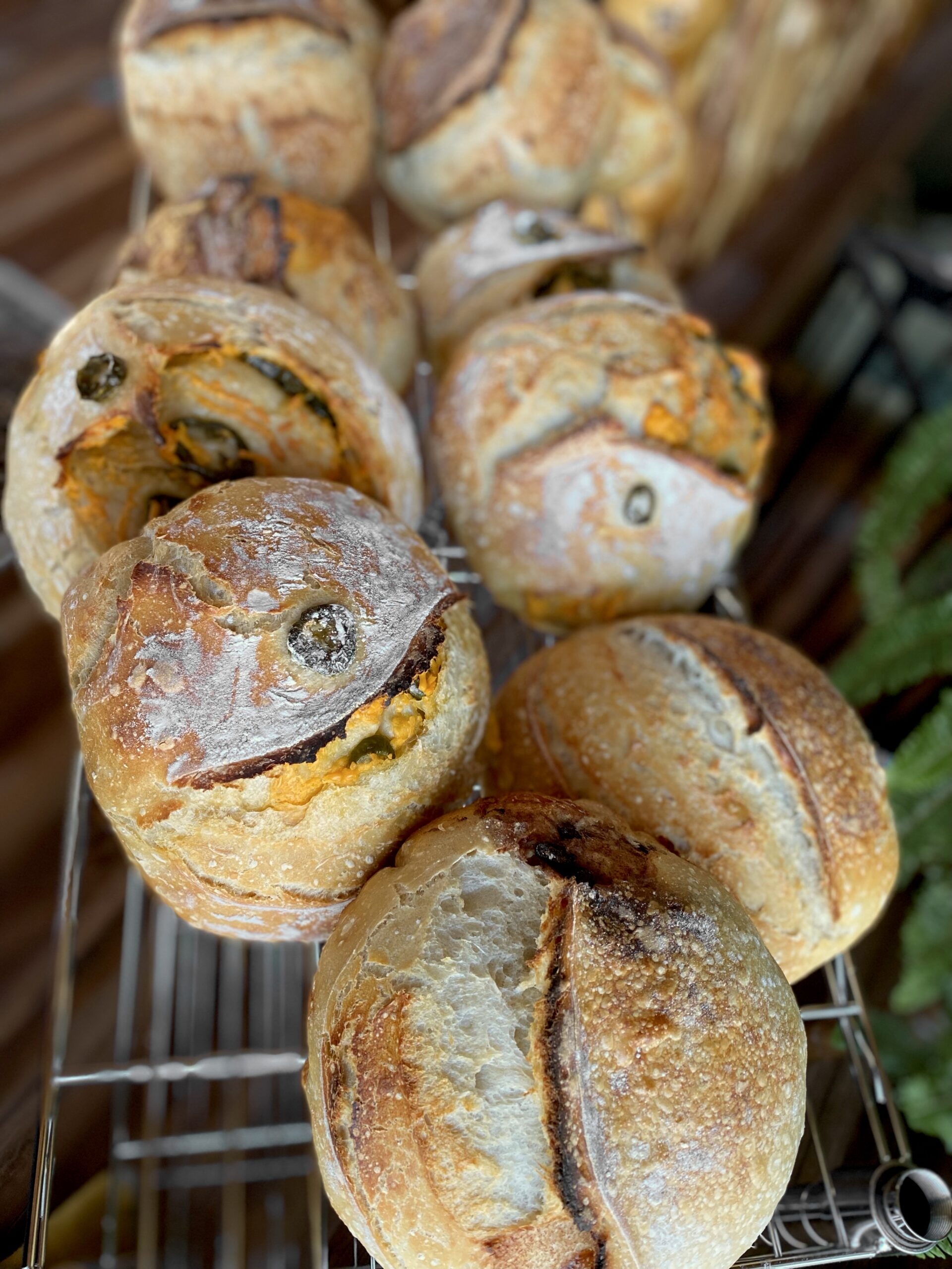 Artisan loaf heaven. Featuring a healthy number of mouth-watering jalapeño cheddar loaves.